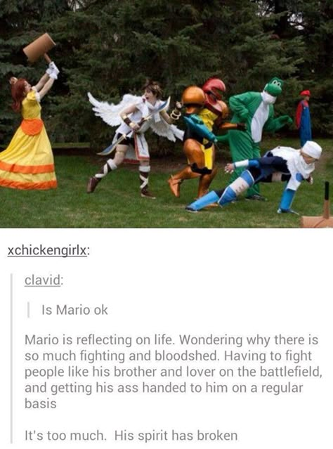 Nintendo, Super Smash Bros Ultimate, SSB, Cosplay Super Smash Bros Memes, Smash Bros Funny, Mega Pokemon, Smash Brothers, Super Smash Brothers, Funny Tumblr Posts, Gaming Memes, Super Smash Bros, Smash Bros