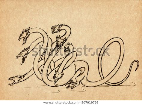 Illustration Handdrawn Lernaean Hydra Mystical Creature Stock Illustration 507919795 Lernaean Hydra, Greek Mythology Goddesses, Mystical Creature, Dragon Cat, Time Tattoos, Snake Tattoo, Greek Myths, Mystical Creatures, Imagine Dragons