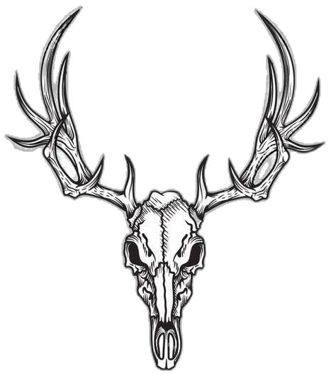 Elk Skull Tattoo Design, Stag Skull Tattoo Design, Deer Skull Hand Tattoo, Mule Deer Skull Tattoo, Reindeer Skull Tattoo, Deer Head Tattoos For Men, Deer Skull Tattoo Design, Deer Skull Outline, Antelope Skull Tattoo