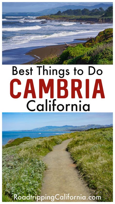 From beaches and boardwalks to castles and elephant seals, discover the best things to do in Cambria, California! Cambria what to do | best Cambria attractions | Hearst Castle | Cambria CA|Cambria hotels | Cambria restaurants | Cambria wineries Cambria California, Elephant Seal, San Simeon, Nevada Travel, Central California, Travel Humor, Celebrity Travel, California Beach, Incredible Places