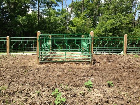 Fence Hay Feeder, Cattle Feed, Hay Feeder, Farm Activities, Diy Fence, Beef Cattle, Field Day, Unique Diy Gifts, Unique Diy