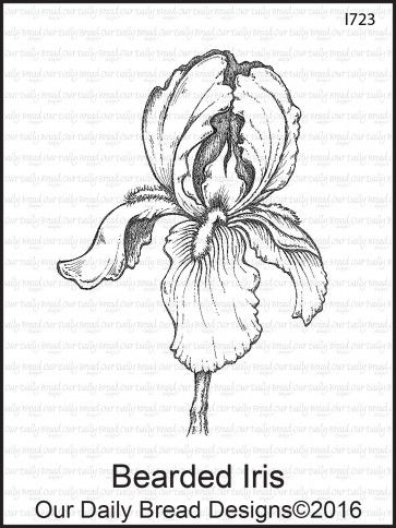 Plants Drawings, Iris Drawing, Iris Flower Tattoo, Plant Parenthood, Flowers Mandala, Mandala Ideas, Iris Tattoo, Bread Designs, Iris Art