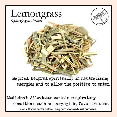 Lemongrass 1 oz. – Zinzeudo Infinite Wellness Lemongrass Witchcraft, Kitchen Witch Recipes, Magickal Herbs, Witch Herbs, Medical Herbs, Magic Herbs, Fever Reducer, Magical Herbs, Herbal Recipes