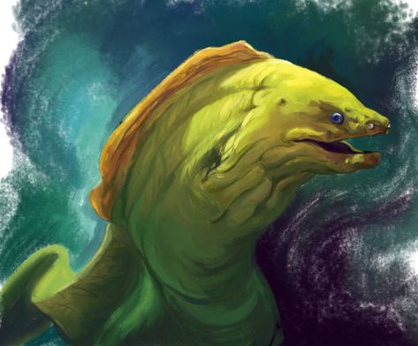 ArtStation - Green Moray Eel, Ally Chetkovich Moray Eel Tattoo, Eel Illustration, Eel Art, Eel Tattoo, Dangerous Fish, Moray Eel, Sea Life Art, Animal Reference, Paleo Art