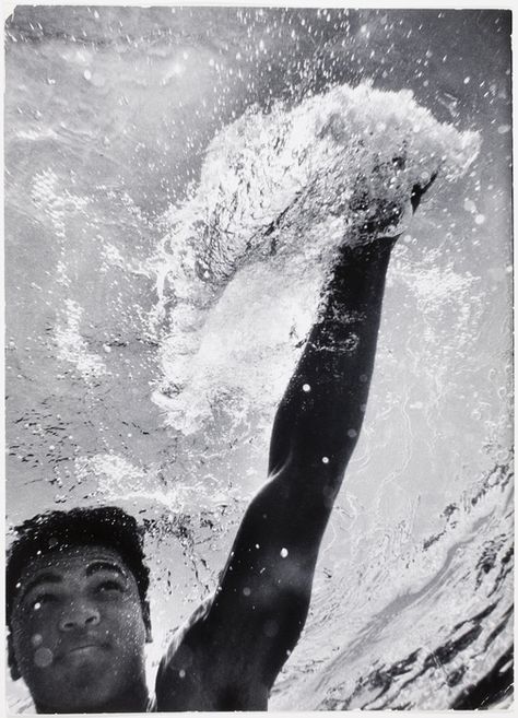 [Cassius Clay training at Sir John Hotel pool, Miami] Muhammad Ali Underwater, Muhammad Ali Boxing, Cassius Clay, Muhammed Ali, Boxing History, Sting Like A Bee, Float Like A Butterfly, Mohammed Ali, Afrocentric Art