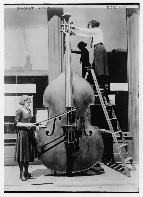 This is from 1912 and is named the biggest violin. It is rightly tuned and can be played. It is also being preserved. Funny Vintage Photos, All About That Bass, Double Bass, Making Music, String Instruments, Vintage Humor, Sound Of Music, Classical Music, Music Stuff