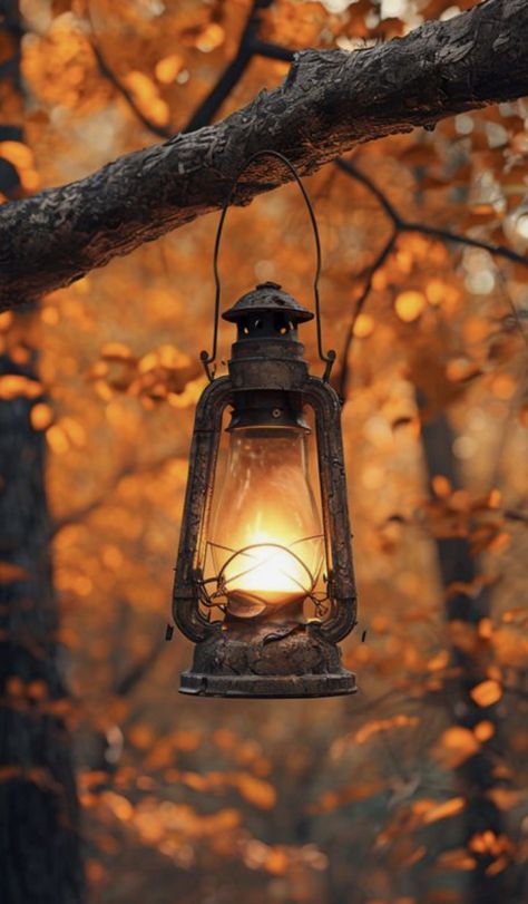 Lanterns Aesthetic, Forest Lantern, Lantern Aesthetic, Drawing Light, Fall Lantern, Camping In The Woods, Old Cabin, Lantern Hanging, Forest Setting