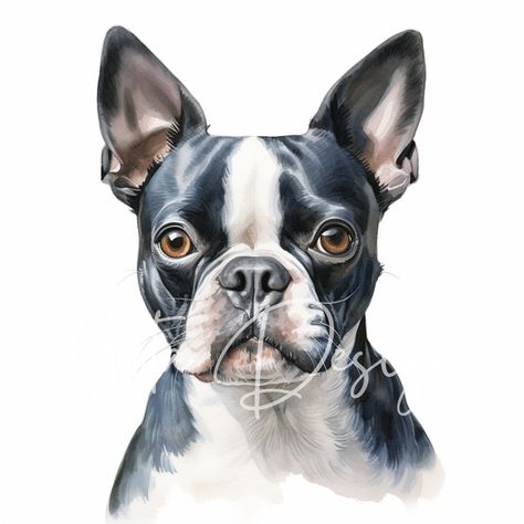 🐶🎨 Step into a world where Boston Terriers come to life in vibrant watercolor! Our Clipart Collection is a blend of realism and artistic expression, capturing the playful and loving spirit of these dogs. Ideal for enhancing any project with a touch of canine grace and joy. Dive into this artistic adventure! 🖌️🐾✨ Terrier Breeds, Canine Art, Boston Terriers, Junk Journaling, Dog Themed, Watercolor Cards, Pet Lovers, Dog Portraits, Watercolor Clipart