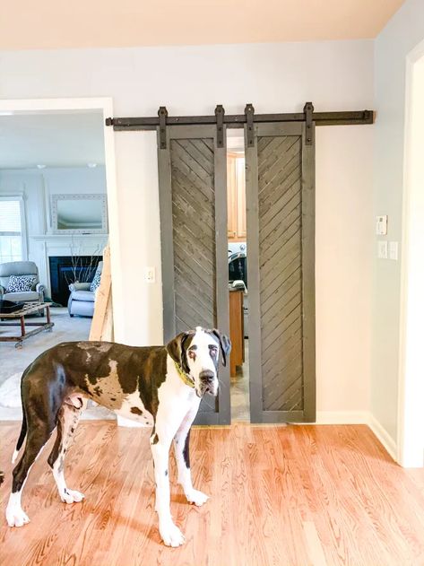 Love sliding barn doors? How about 2? Hop to a blog for DIY tutorial Diy Double Barn Doors Sliding, Diy Dutch Door Interior, Sliding Double Doors, Barn Style Doors, Double Sliding Doors, Moving Truck, Basement House, Double Barn Doors, Sliding Barn Doors