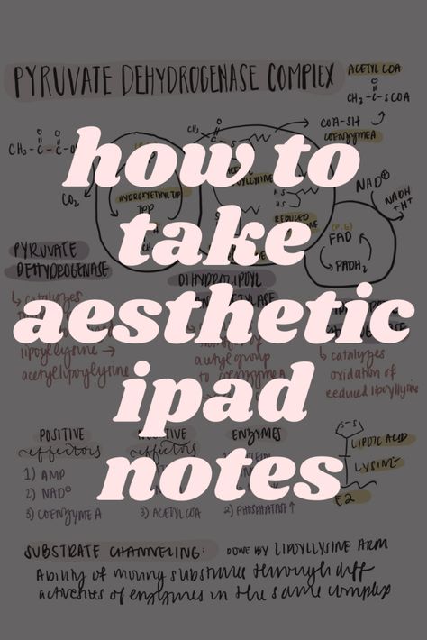 How to Take Aesthetic Notes on Your iPad How To Write Aesthetic Notes On Ipad, Ipad Homework Aesthetic, Aesthetic Notes Good Notes, Good Note Hacks, Procreate Note Taking, Writing Practice Aesthetic, How To Take Notes On Goodnotes, Note Taking Tips Ipad, Good Notes Examples