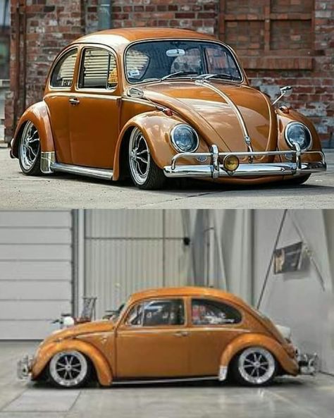 Punch Buggy, Bug Images, Stanced Cars, Vw Bugs, Campervan Interior, Beetle Bug, Old School Cars, Vw Cars, Auto Racing