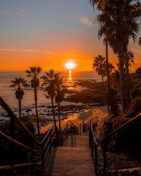 Laguna Beach, California 📸: [instagram.com/luka.odak] Laguna Beach California, Beach Wallpaper, Beach California, Laguna Beach, California Travel, Palm Trees, Landscape Paintings, Places To Go, Trees