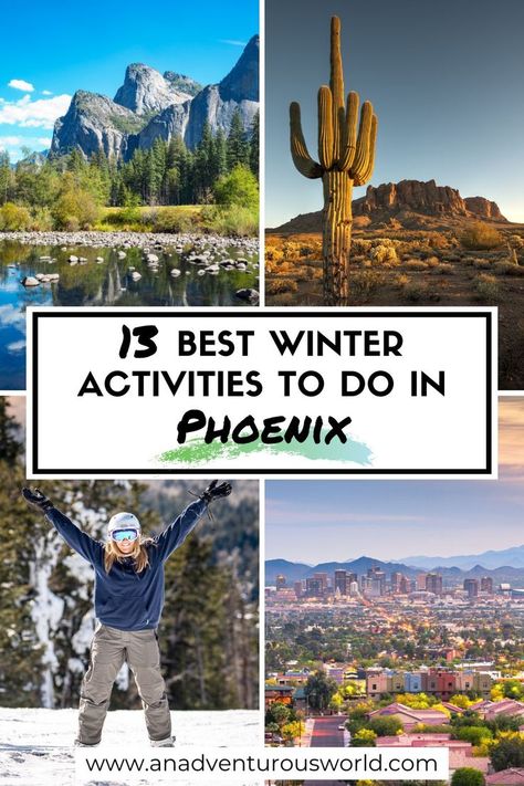 Things To Do In Phoenix Arizona Winter, Phoenix With Kids, Arizona Winter, Hiking Winter, Arizona Adventure, Desert Botanical Garden, Winter Sun, Activities To Do, Winter Activities