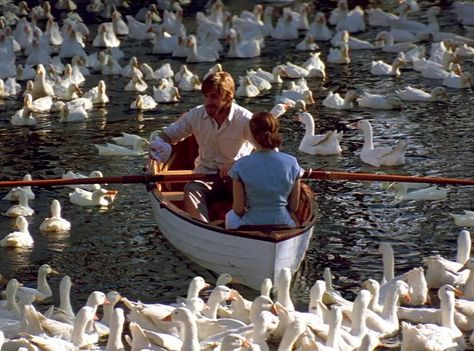 The Notebook Boat Scene, Notebook Boat Scene, The Notebook 2004, Nicholas Sparks Movies, Animal Captions, Old Fashioned Love, I Love Cinema, Film Images, Ingrid Bergman