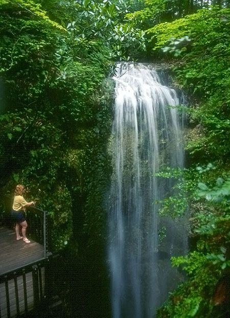 Falling Waters State Park in the Florida Panhandle. Florida Caverns State Park, Falling Waters, Florida Adventures, Florida Panhandle, Florida State Parks, Pensacola Florida, Travel Plan, Beautiful Waterfalls, Florida Vacation