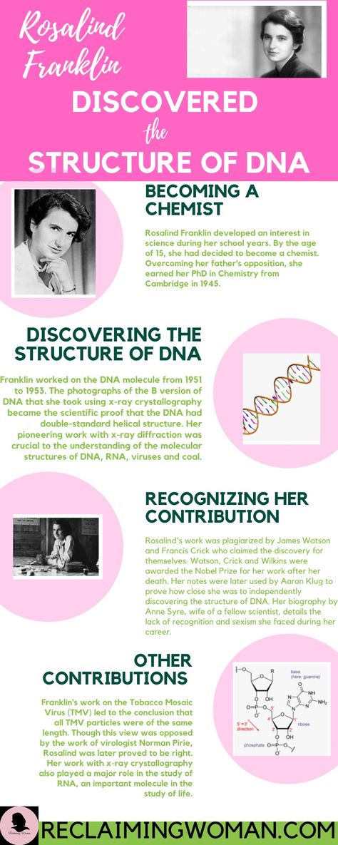 #womeninscience, #science, #womenscientists, #scientist, #chemistry, #biology Women In Chemistry, Biology Scientist, Medicine Aesthetic, Rosalind Franklin, Study Flashcards, Women Scientists, Women Power, Biotechnology, Powerful Women