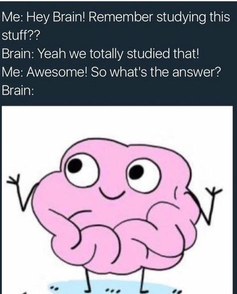 So typical of brain. Reblogged from Bad Science Jokes. Memes In Real Life, Lol Memes, Funny School, Finals Week, School Memes, Memes Br, Memes Humor, School Humor, E Card