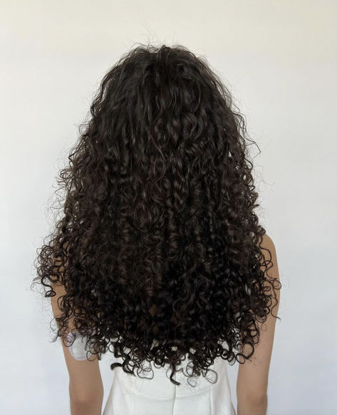 She is wearing our Bebonia Slip-On 22" Curly Dark Ash Brown Slip On extensions Ash Brown Curly Hair, Brunette Hair Curly, Curly 3b, Dark Ash Brown, Dark Brunette Hair, Brown Curly Hair, Curly Clip Ins, Dark Ash, Dark Brunette