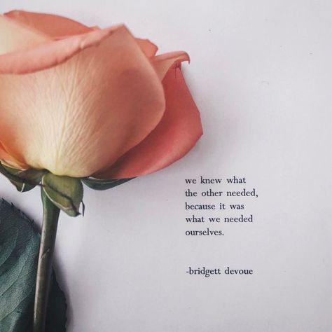 Bridgett Devoue, Rose Tumblr, Rm Drake, Books Romance, Tyler Knott Gregson, General Quotes, Love Roses, Addicted To You, Poetry Book