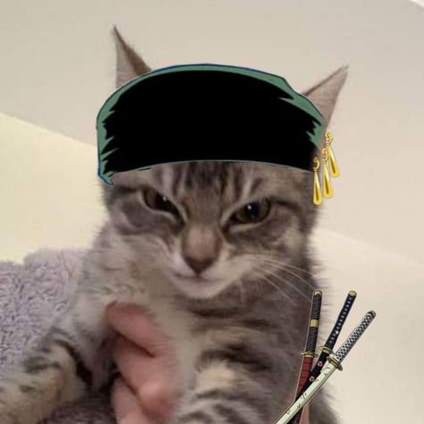 One Piece Pfp Icon, Zoro One Piece Pfp, Zoro Cat, One Piece Profile, Cool Pfps For Discord, One Piece Pfp, One Piece Aesthetic, Cat Yawning, One Piece Games