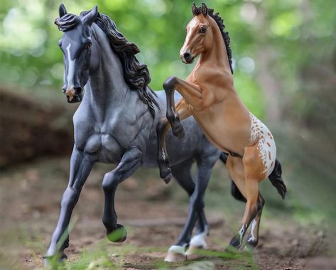 Bryer Horses, Blue Roan, Models Wanted, Breyer Horses, Sculpture Painting, Appaloosa, Tiger Lily, Model Ships, Bedroom Makeover