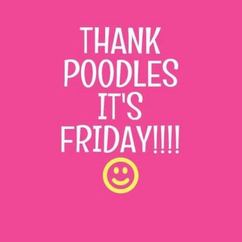 Thank poodles it's Friday! Poodle Quotes Funny, Poodle Quotes, Poodle Puppy Standard, Poodle Mom, French Poodles, Pink Poodle, Miniature Poodle, Poodle Puppy, Classic Architecture