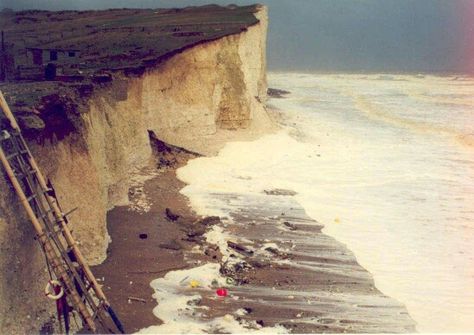 Birling Gap, East Sussex Birling Gap, Sussex Downs, Cliff Edge, Brighton Uk, Sea Wall, Dream Holiday, East Sussex, Walkers, Being A Landlord