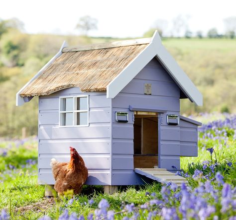 Chicken Coop Pallets, Cute Chicken Coops, Chicken Coop Decor, Duck House, Chicken Garden, Keeping Chickens, Building A Chicken Coop, Chicken Coop Plans, Backyard Chicken Coops