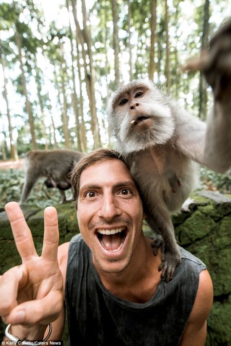 Sasha Juliard poses for the camera as the monkey on his shoulder appears to snap the pic Dog Portraits Art, Funny Selfies, Cheeky Monkey, Portraits From Photos, Cat Portraits, Man Photo, Dog Gifs, Animal Planet, Custom Pet Portraits