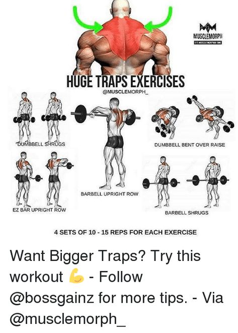 Memes, Exercise, and Rugs: MUSCLE MORPH  HUGETRAPS EXERCISES  @MUSCLE MORPH  UMBBELL  RUGS  DUMBBELL BENT OVER RAISE  BARBELL UPRIGHT ROW  EZ BAR UPRIGHT ROW  BARBELL SHRUGS  4 SETS OF 10 15 REPS FOR EACH EXERCISE Want Bigger Traps? Try this workout 💪 - Follow @bossgainz for more tips. - Via @musclemorph_ Traps Exercises, Traps Workout, Gym Antrenmanları, Gym Workout Chart, Muscle Building Workouts, Weight Training Workouts, Shoulder Muscles, Health And Fitness Articles, Workout Chart