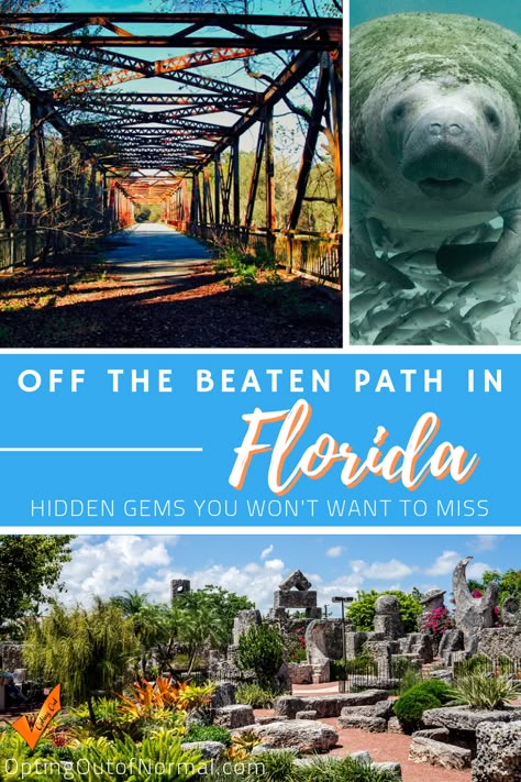 Things To Do In Florida, Florida Vacation Spots, Florida Travel Destinations, Florida Travel Guide, Florida Adventures, Dry Camping, Visit Florida, Universal Orlando, Off The Beaten Path