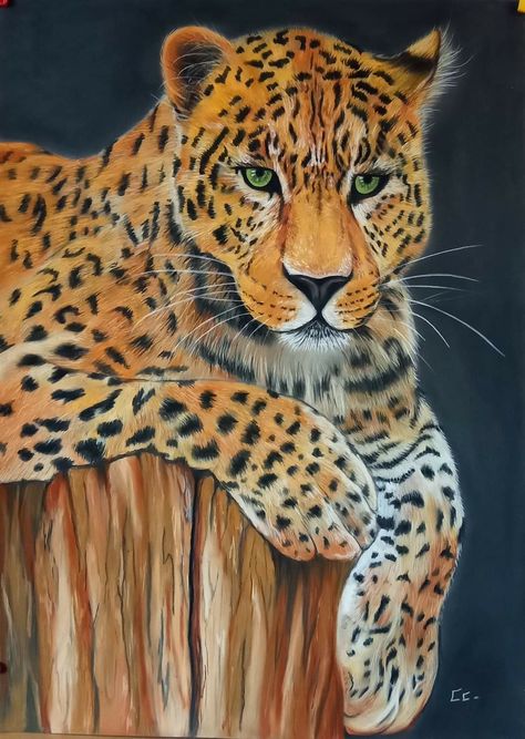 Cheetah Painting Acrylic, Lion Paintings, Farewell Message, Cat Drawing Tutorial, Woodland Wallpaper, Lion Painting, Jungle Art, Acrylic Painting For Beginners, Tiger Art