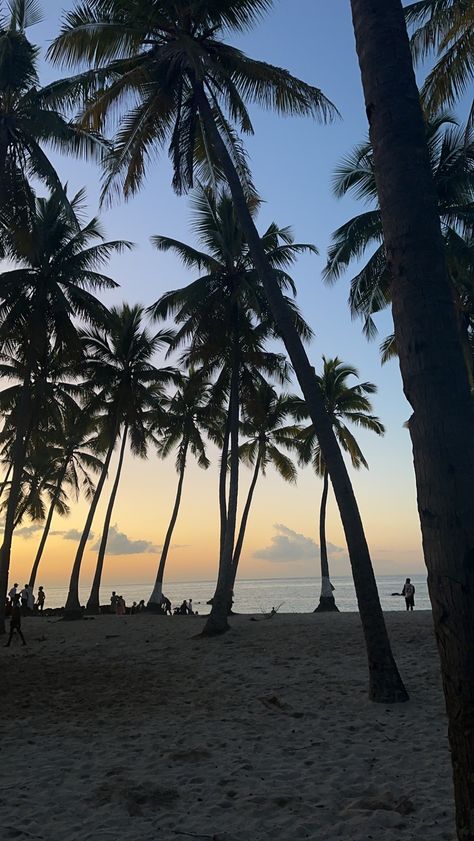 Escape to the vibrant and breathtaking landscapes of Comoros Island! Immerse yourself in the azure waters, surrounded by lush greenery and the warm embrace of this hidden gem in the Indian Ocean. Comoros Islands, City By The Sea, French Colonial, Pretty Photos, Island Travel, Small Island, Africa Travel, Archipelago, Island Life