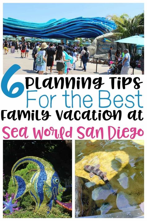 Different exhibits around Sea World San Diego Sea World San Diego, San Diego With Kids, San Diego Attractions, Seaworld San Diego, Dining Plan, San Diego Vacation, Parenting Plan, San Diego Travel, Vacation Goals