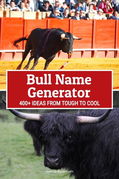 Our bull name generator has over 400 options, from tough to cool, that are sure to fit the style of of name you’re looking for. Bull Names, Ferdinand The Bulls, Cow Names, Bucking Bulls, Bull Riders, King Of Hearts, Bull Riding, Name Generator, Kid Rock