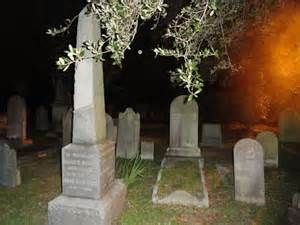 Cloaked Ghosts - My Yahoo Image Search Results Cemetery, At Night, Trees, Tumblr