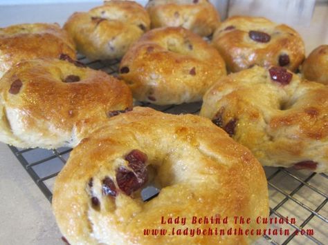 Cranberry Orange Bagel Recipe Bagel Recipe Easy, Yeast Recipes, Recipes Bread, Yeast Breads, Homemade Bagels, Behind The Curtain, Bagel Recipe, Bread Box, Yeast Bread