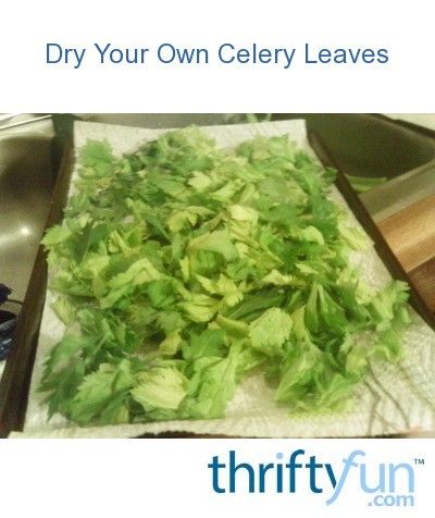 When celery is real cheap, I buy several bunches to use when the price goes too high or I need some and don't have any fresh. After washing the celery and letting it dry, I remove all the leaves. I put them, whole, on baking sheets lined with paper towels. Drying Celery, Celery Leaves, Fresh Vegetable Recipes, Drying Fresh Herbs, Freezing Vegetables, Celery Recipes, Home Canning Recipes, Winter Cooking, Homemade Spice Blends