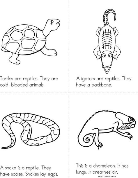 REPTILES Book - Twisty Noodle Reptiles Preschool, Reptiles Activities, Pen Pal Kit, Kindergarten Phonics, Preschool Counting, Kindergarten Phonics Worksheets, Twisty Noodle, Letter Crafts, Early Childhood Learning