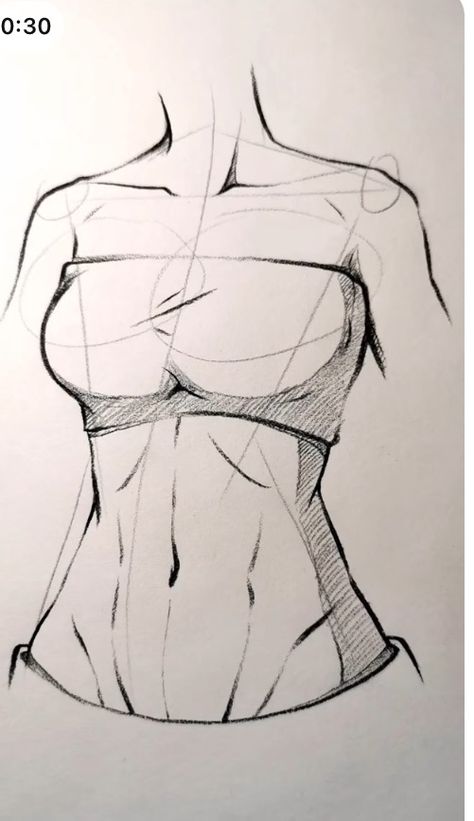 Women Muscles Drawing, Female Stomach Reference, Anatomy Drawing Torso, Body Proportions Female, Body Pose Drawing Female, Woman Body Anatomy Drawing, Female Legs Drawing, Shoulders Drawing Reference, Torso Reference Drawing