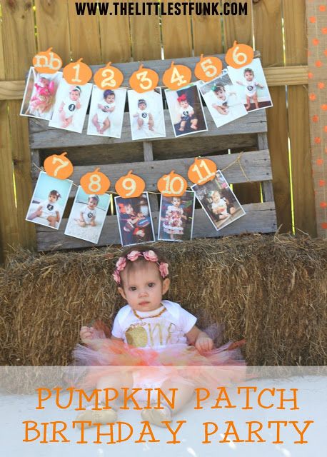 Pumpkin Patch Birthday Party Patch Birthday Party, Pumpkin Patch Birthday Party, Fall First Birthday, Pumpkin Patch Birthday, Fall 1st Birthdays, Halloween First Birthday, Halloween 1st Birthdays, Pumpkin Birthday Parties, Pumpkin 1st Birthdays