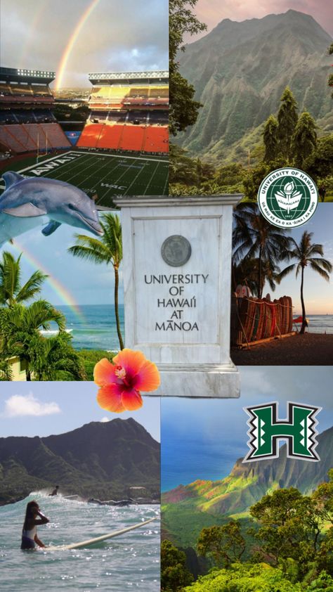 University Of Hawaii At Manoa, Semester At Sea, College Planning, University Of Hawaii, Dream College, Adventure Travel Explore, Dream School, Hawaii Life, Marine Biology