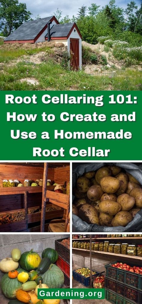 Root Cellaring 101: How to Create and Use a Root Cellar Backyard Root Cellar, Straw Bale Root Cellar, Hobbit Root Cellar, Build Root Cellar, Stone Root Cellar, In Ground Cold Storage, How To Build A Root Celler, Homestead Root Cellar, Storage Container Root Cellar