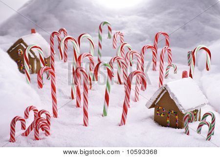 Elf movie night, candy cane forest | {Elf} | Pinterest | Candy ... Elf Movie Party, Elf Themed Christmas Party, Candy Cane Forest, Christmas Ginger Bread, Camp Christmas, Christmas Shop Displays, Christmas Cubicle, Cubicle Decorations, Hallway Decorations