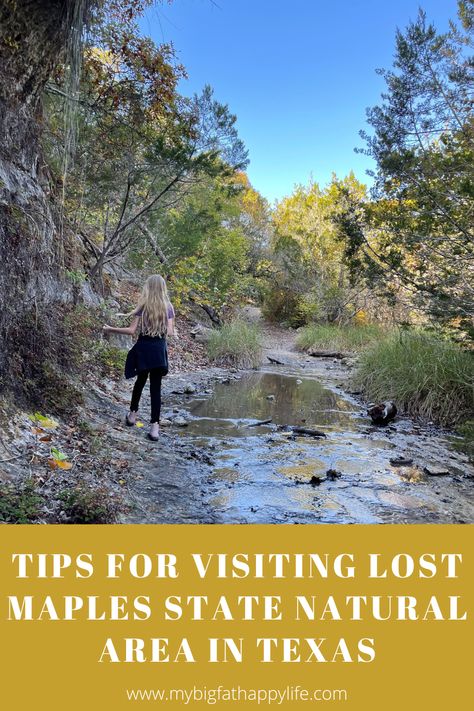 Tips for Visiting Lost Maples State Natural Area in Texas Lost Maples State Park Texas, Lost Maples State Park, Texas State Parks, Texas Travel, Texas State, Tent Camping, Travel Bucket, Camping Trips, Wonderful Places