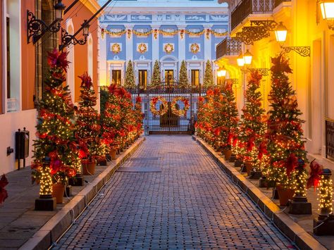 Even the greatest of Grinches has to admit: These 16 cities, with their sparkle and cheer, can make the heart grow three sizes larger. Christmas In Puerto Rico, Puerto Rican Christmas, Liz Lemon, Puerto Rico Vacation, Puerto Rican Culture, Vacation Photography, Old San Juan, Travel Plan, San Juan Puerto Rico