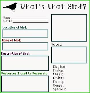 Home Grown Hearts Academy Homeschool Blog: Free Printables Free Bird Printables, Bird Activities For Kids, American Heritage Girls Ahg, Birds In Garden, Bird Watching Journal, Theme Basket, Bird Activities, Ahg Badge, Groups Of Animals