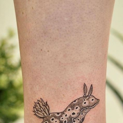 HAYTATTOO on Instagram: "Omg! What a cutie. Tattoo by Jenny @jen_urchin   This is a nudibranch, Hypselodoris tryoni 💚   And thank you for the awesome little sculpture :D   LIC 103315 #sydneytattoo #sydneytattoos #tattooartistsydney #tattooartistmag #sydneytattooartist #tattoosydney #australiantattooartist #marinetattoo #seaslug #seaslugs #nudibranch #nudibranchs #nudibranchtattoo #seaslugtattoo #marinelife #marinebiology #marineconservation" Sea Bunny Tattoo, Nudibranch Tattoo, Sea Slug Tattoo, Sea Urchin Tattoo, Bunny Sea Slug, Slug Tattoo, Marine Life Tattoo, Sea Tattoos, Tattoo Sydney