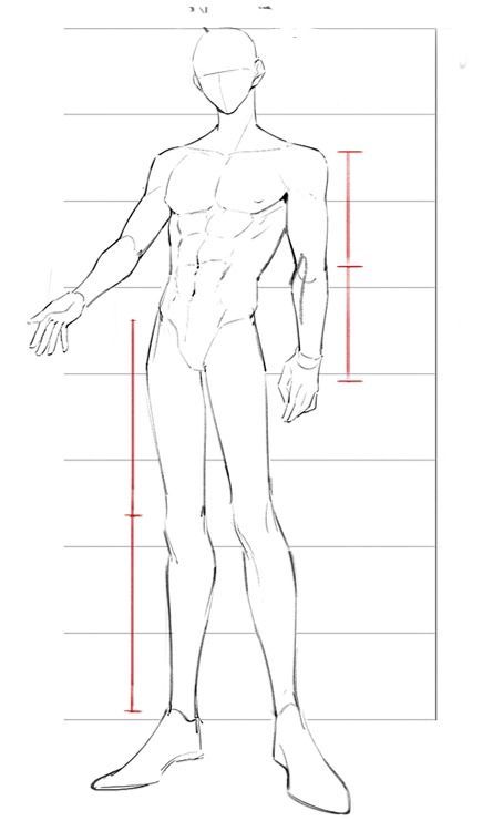 Male Body Drawing, Male Art Reference, Human Body Drawing, Sketch Poses, Body Sketches, Body Drawing Tutorial, Human Anatomy Drawing, Anatomy Sketches, Body Reference Drawing