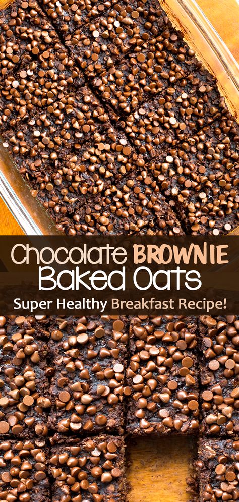 Chocolate Brownie Baked Oats (Vegan Breakfast Recipe) Brownie Granola, Dessert Oats, Baked Oats Vegan, Brownie Baked Oats, Brownie Baked Oatmeal, Baked Oats Recipe, Healthy Breakfast Idea, Baked Oatmeal Recipe, Chocolate Covered Katie